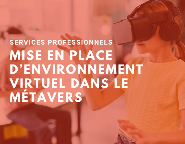 Appel d'offre : Services professionnels pour la mise en place d'un environnement virtuel dans le métavers